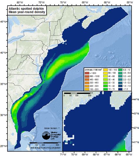 Online maps track where whales and dolphins go - Futurity