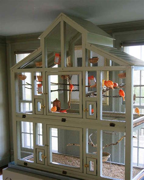 Meet All of Martha's Pets Over the Years | Diy bird cage, Pet bird cage, Bird aviary