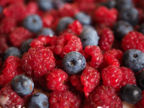 Free Images : plant, raspberry, fruit, berry, sweet, food, red, produce, blue, healthy ...