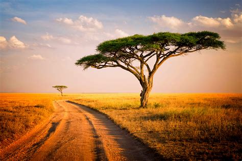 tMjtC8L1sfM.jpg (2250×1500) | Serengeti national park, Serengeti, Tanzania