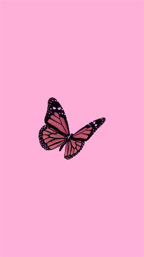 528610075013354541 | Iphone wallpaper tumblr aesthetic, Butterfly wallpaper, Photo wall collage