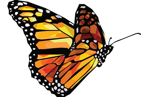 0 Result Images of Mariposas Png Vector - PNG Image Collection