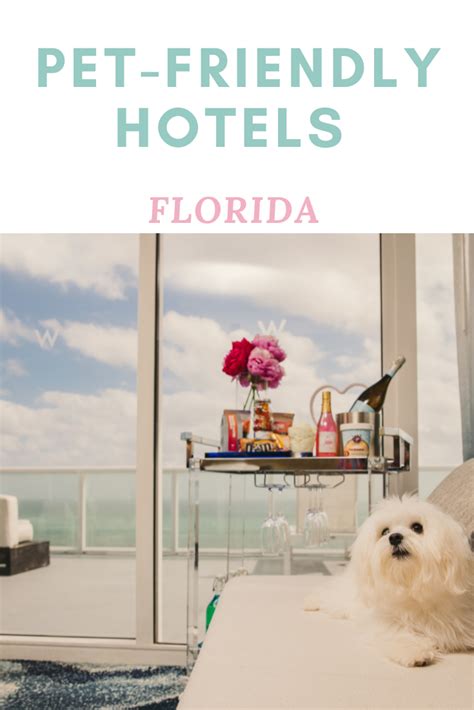 List of Florida Pet-Friendly Hotels | Florida hotels, Pet friendly hotels, Pet friendly resort