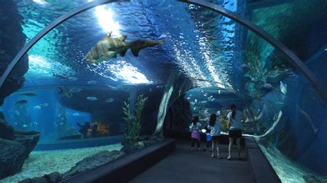 SEA LIFE Bangkok Ocean World -: Siam Bangkok Map