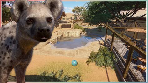 Spotted Hyena Habitat | Planet Zoo Speed Build - YouTube