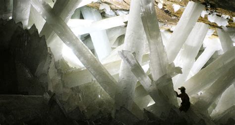 Microbes survived inside giant cave crystals for up to 50,000 years