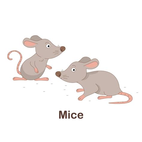 Premium Vector | Vocabulary Flash Card for kids. Mice with picture of Mice