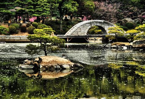 Hiroshima's Shukkeien Garden in Japan | Hiroshima, Travel, Travel blog