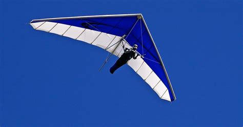 Man on Blue and White Air Glider · Free Stock Photo