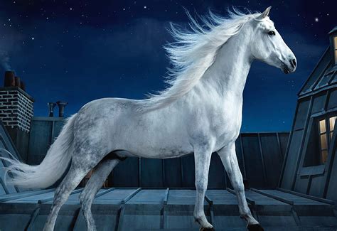 Horse graces Hermes campaign