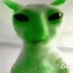 goofy ahh alien cat Meme Generator - Imgflip