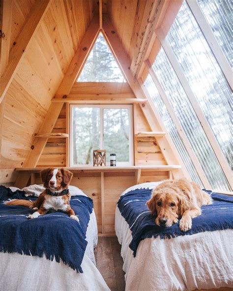 18 Treehouse Interiors You'll Love