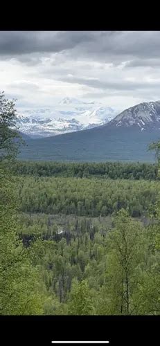 2023 Best Camping Trails in Talkeetna | AllTrails