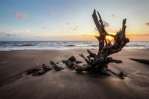 Big Talbot Island's Boneyard Beach in Jacksonville, FL Photograph by ...