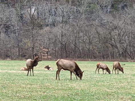 Buffalo River – National Park Region | Visit Arkansas & the natural beauty of the Ozark Mountains