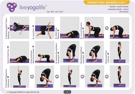 Hatha Yoga Asanas Beginners | Hatha Yoga for Beginners Class 1 | Live ...