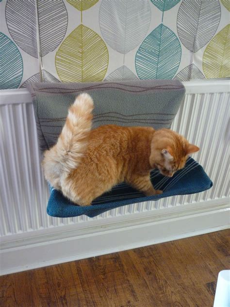 DIY Radiator Cat Bed Cover | Diy cat bed, Cat bed cover, Cat bed