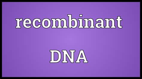 Recombinant DNA Meaning - YouTube