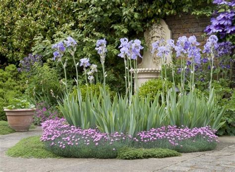 5+ Best And Beautiful Iris Garden Ideas For Your Yard Inspiration | Iris flowers garden, Iris ...