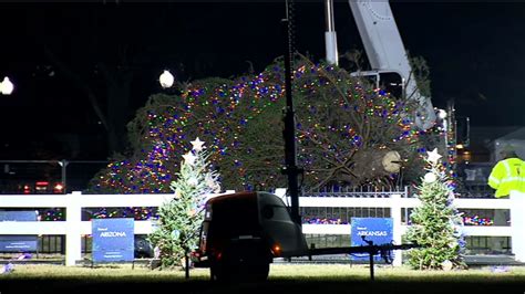 National Christmas tree topples to the ground at White House ...