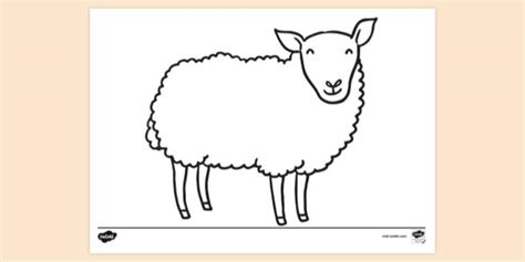 FREE! - Sheep Colouring Sheet | Colouring Pages