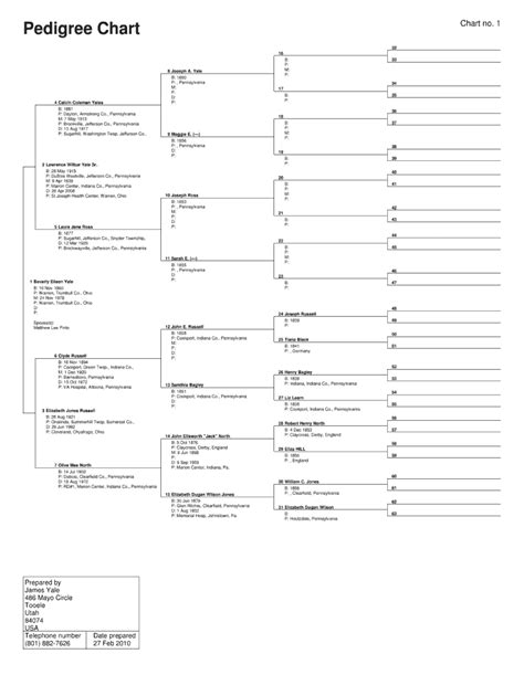 15 generation pedigree chart free download: Fill out & sign online | DocHub