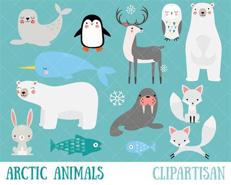 Arctic Animals Clipart Winter Animals Clip Art Polar Bear - Etsy