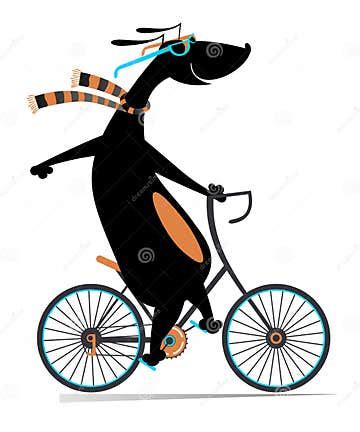 Dog Riding Bicycle. Funny Dog Rides a Bike Illustration Stock Vector - Illustration of cartoon ...