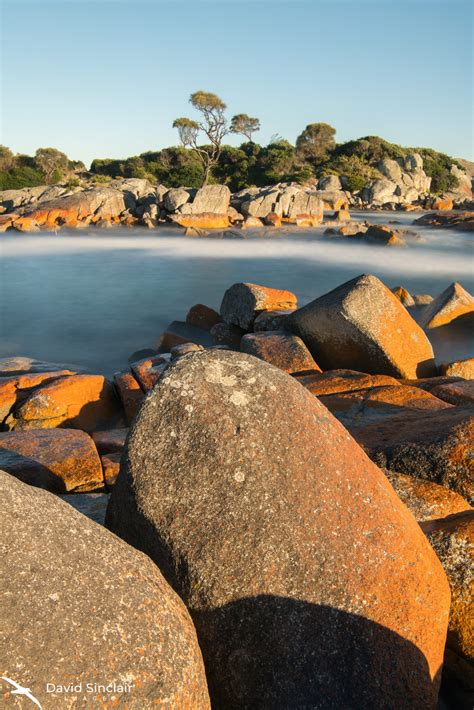 Binalong Bay - David Sinclair Photography