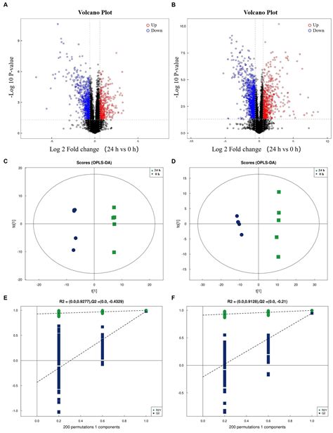 Frontiers | Analysis of the anti-PCV2 mechanism of Lactobacillus ...