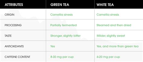 What's the Difference Between Green Tea & White Tea? Which is Better?