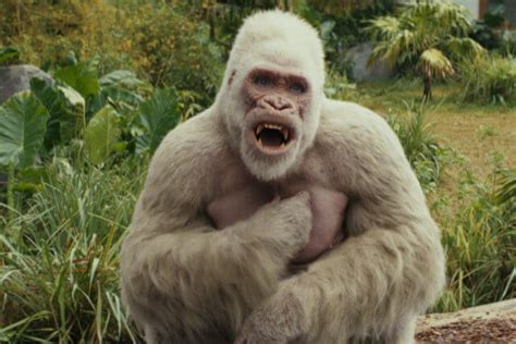 Crítica | 'Rampage: Destruição Total' é aventura mediana, cheia de clichês | Culturice