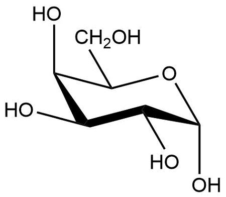 Maltose Chair Conformation