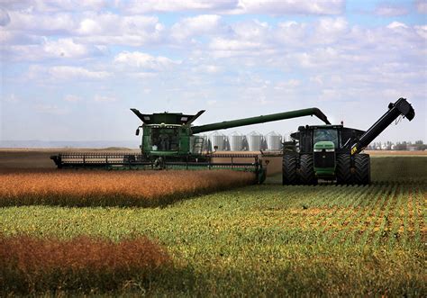 Canola up, while cereals fall on good weather | The Western Producer