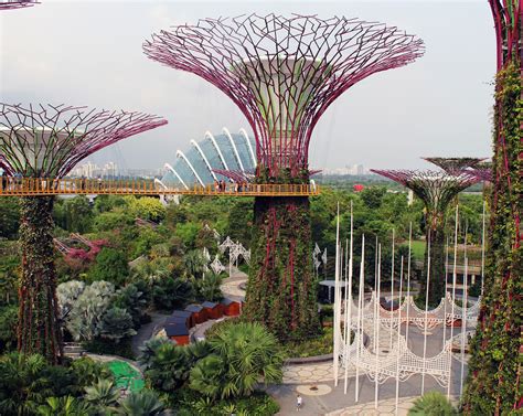 Gardens by the Bay, Supertrees - Greenroofs.com