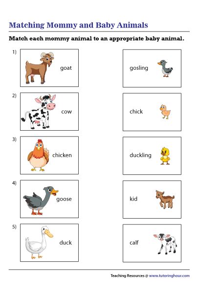 Matching Mommy and Baby Animals Worksheet