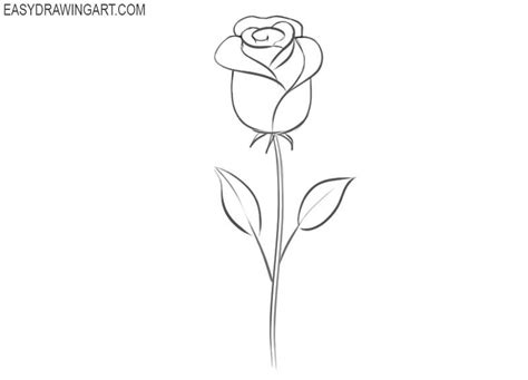 Easy Step-by-Step Guide to Drawing a Rose