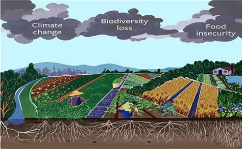 Global Perspective of Biodiversity, Climate Change and Food Security