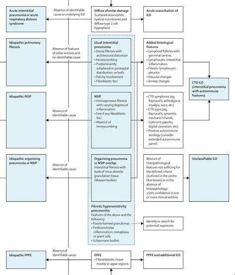 Interstitial Lung Disease Histology