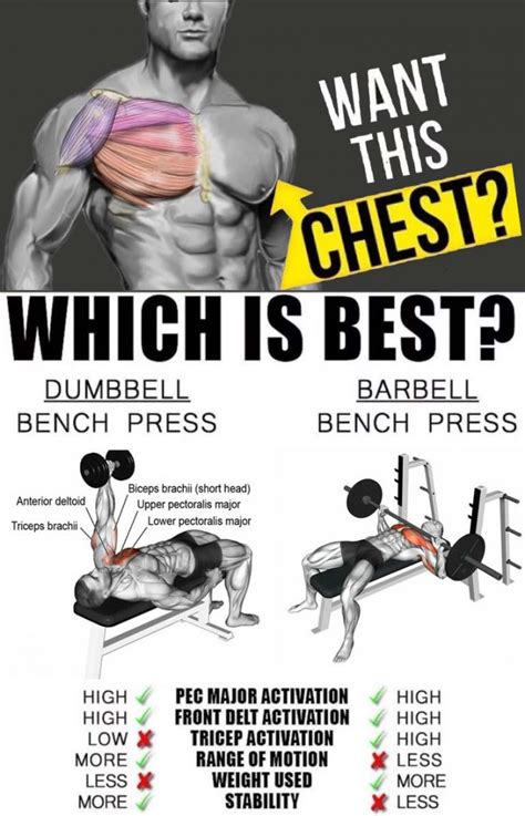 How to Do Barbell Press VS Dumbbell Press, Tips | weighteasyloss.com