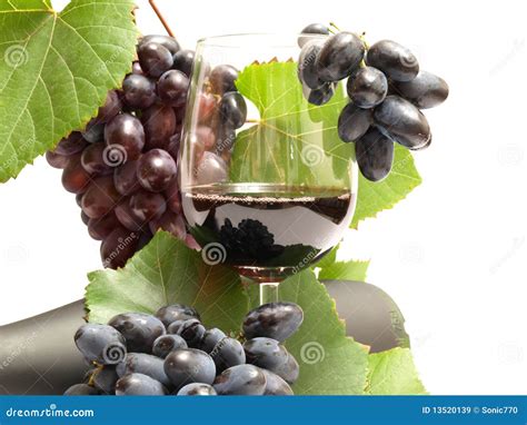 Grape wine stock image. Image of nature, alcohol, drink - 13520139