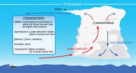 Schematics Diagram of Cumulonimbus