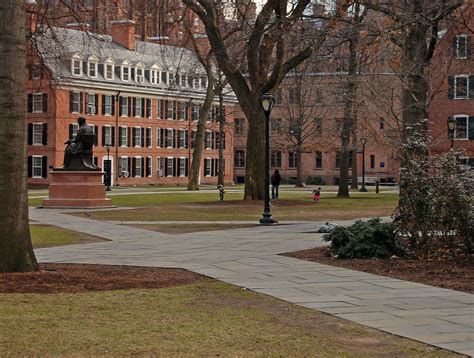 Old Campus looking south | Campus aesthetic, Campus, College campus