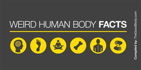 15 Weird Facts about the Human Body