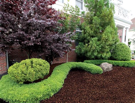 Pin by vien on landscaping ideas | Rubber mulch, Playground rubber mulch, Backyard landscaping