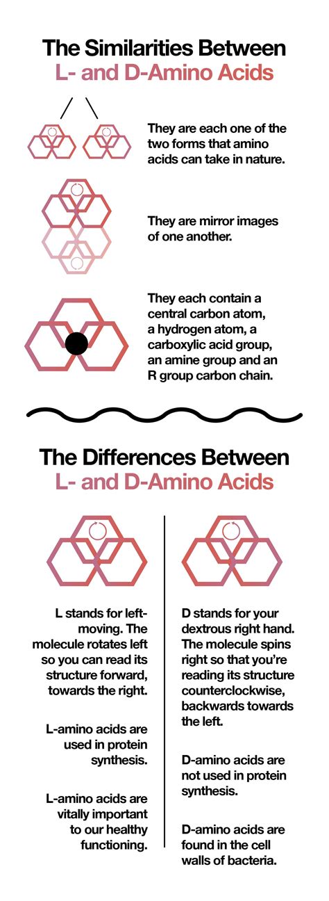 L- vs. D-Amino Acids – The Amino Company