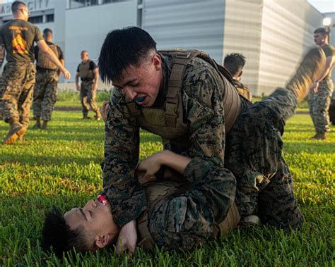 DVIDS - Images - U.S. Marines conduct morning physical training for a ...