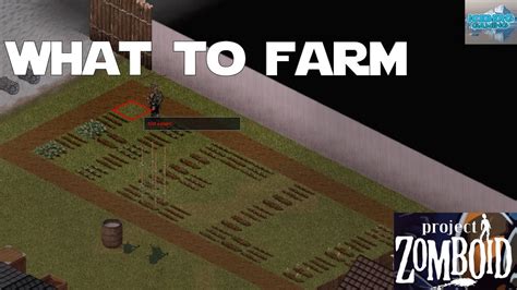 Ranking the Best Crops to Farm in Project Zomboid! What to Farm in PZ Project Zomboid Farming ...