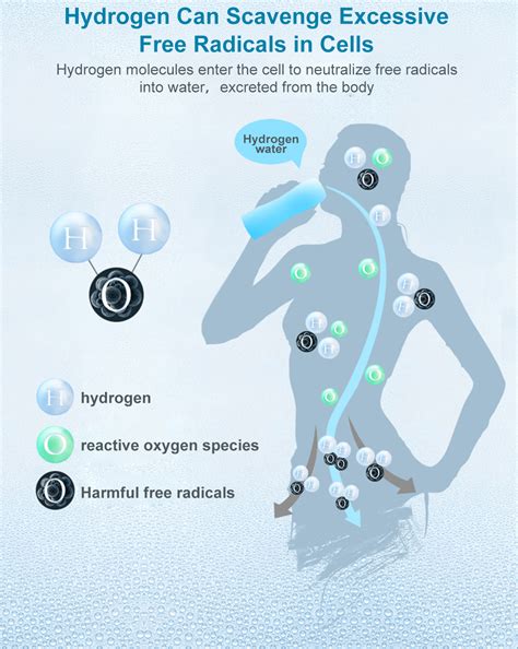 BEULIFE Hydrogen Water Generator Bottle HB-H04 with SPE & PEM Technology Self Cleaning Mode