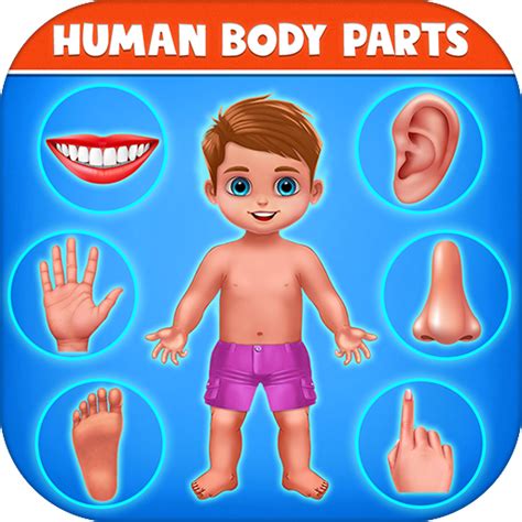 Human Body Parts - Kids Games APK 4.1 for Android – Download Human Body Parts - Kids Games APK ...